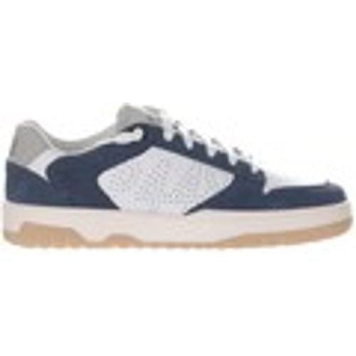 Sneakers Sneaker in pelle con logo traforato - P448 - Modalova