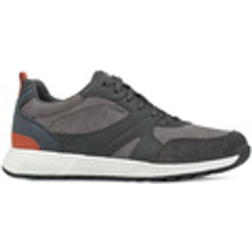 Sneakers Geox U Molveno sneaker - Geox - Modalova