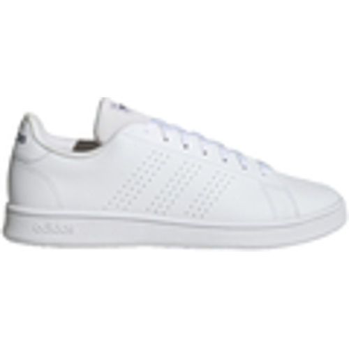 Sneakers Advantage Base Court - Adidas - Modalova