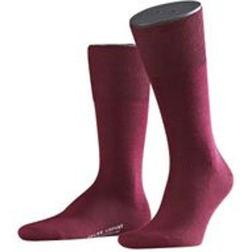 Herren Socken - Falke - Modalova