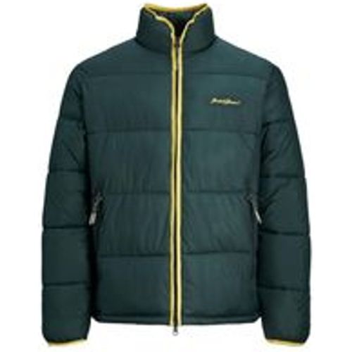 Jacke HAYS Steppjacke mit Stehkragen und Reißverschluss - jack & jones - Modalova