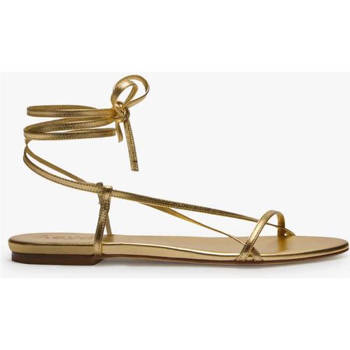 Penny Nappa Riemchensandalen | Damen (37) - Aeyde - Modalova