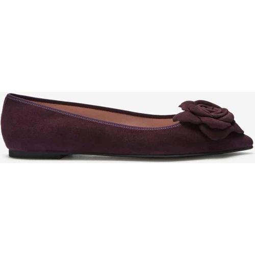 Ella Ballerinas | Damen (38,5) - Pretty Ballerinas - Modalova