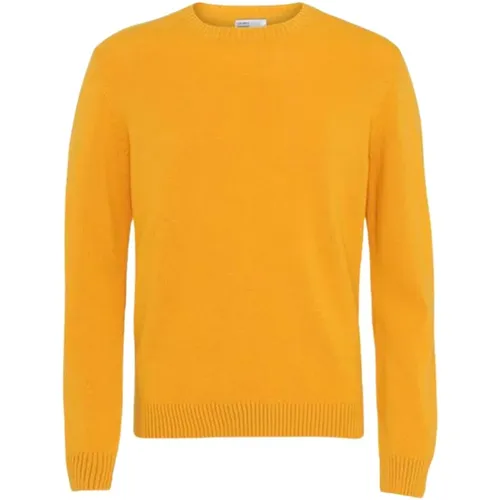Clic Merino Wool Sweater , male, Sizes: XL - Colorful Standard - Modalova