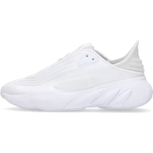 Cloud Low Shoe with Lace Closure , male, Sizes: 7 1/3 UK, 8 UK, 10 2/3 UK, 8 2/3 UK, 12 UK, 6 2/3 UK, 6 UK - Adidas - Modalova