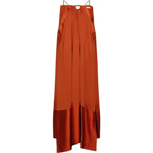 Silk Charm Long Dress , female, Sizes: XS, 2XS - Max Mara - Modalova