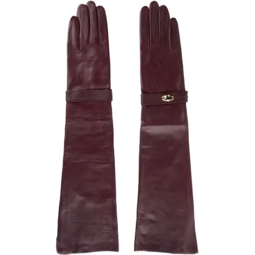 Lady Gloves - Style Cqz.007 , female, Sizes: 7 1/2 IN - Cavalli Class - Modalova