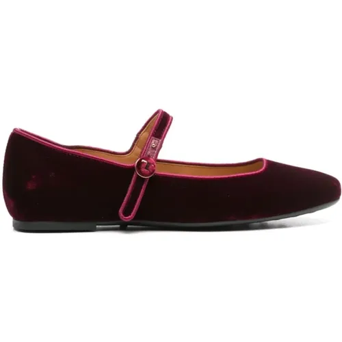 Bordeaux Velvet Flat Shoes , female, Sizes: 4 UK - TOD'S - Modalova