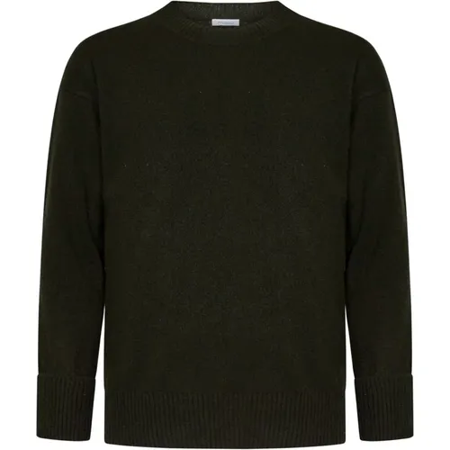 Cashmere Knit Crewneck Sweater , female, Sizes: S - Malo - Modalova