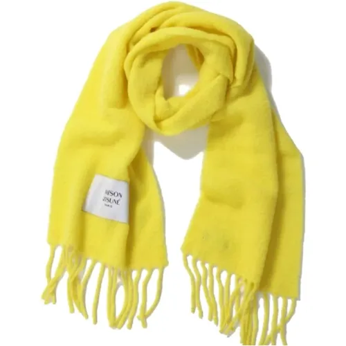 Stylish Scarf for All Occasions , male, Sizes: ONE SIZE - Maison Kitsuné - Modalova