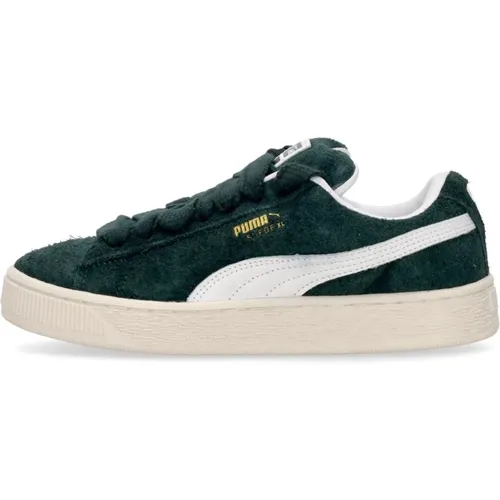 Suede Low Shoe with Oversize Laces , male, Sizes: 4 1/2 UK, 10 UK, 6 UK, 3 UK, 11 UK, 3 1/2 UK, 5 UK, 2 UK, 9 UK, 8 UK, 8 1/2 UK, 12 UK, 7 UK - Puma - Modalova