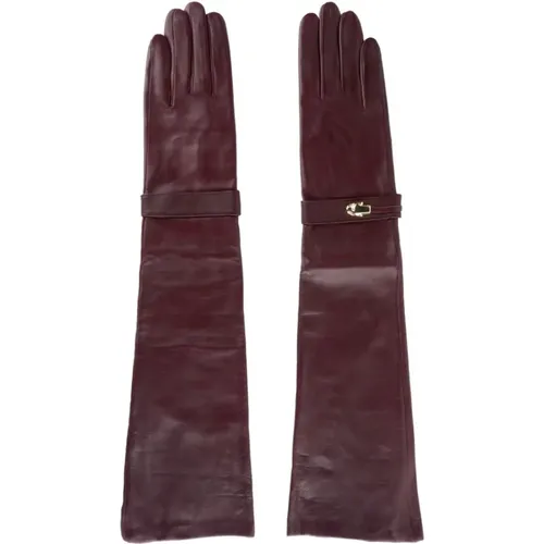 Blue Lady Glove Cqz.007 , female, Sizes: 7 1/2 IN - Cavalli Class - Modalova