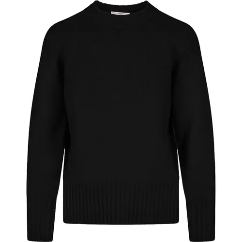 Sweaters , female, Sizes: L, M - Fedeli - Modalova