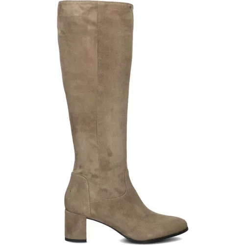 Wildleder Hohe Stiefel Taupe 8591 , Damen, Größe: 39 EU - Lina Locchi - Modalova