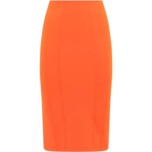 Pencil Skirt with Slit , female, Sizes: S, XS - pinko - Modalova