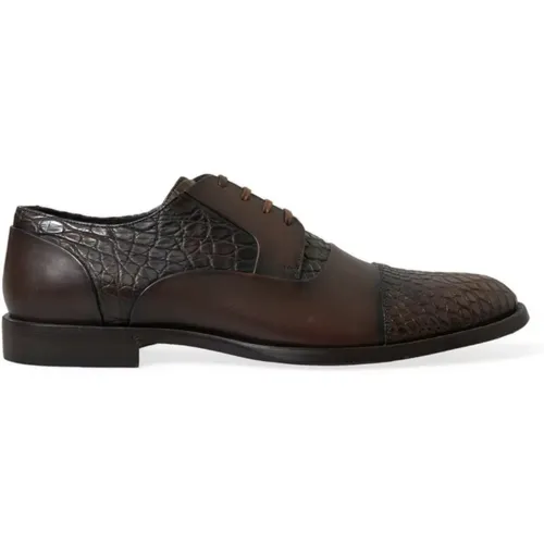 Braune Krokodilleder Oxford Schuhe - Dolce & Gabbana - Modalova