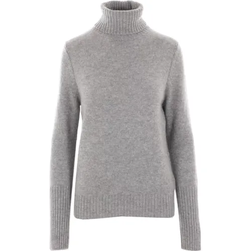 Cashmere Grey Sweater High Neck Long Sleeve , female, Sizes: M, L, S - allude - Modalova