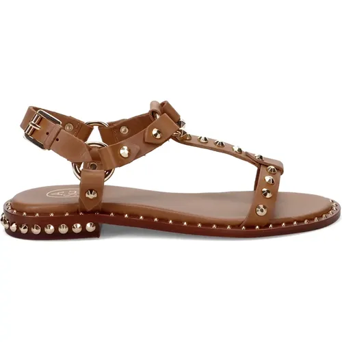 Studded Leather Sandals , female, Sizes: 5 UK, 4 UK, 6 UK, 3 UK - Ash - Modalova
