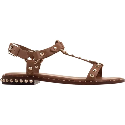 Braune Leder Sandalen mit Nieten - Ash - Modalova