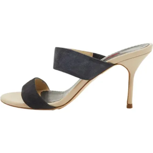 Pre-owned Wildleder sandals , Damen, Größe: 38 EU - Carolina Herrera Pre-owned - Modalova