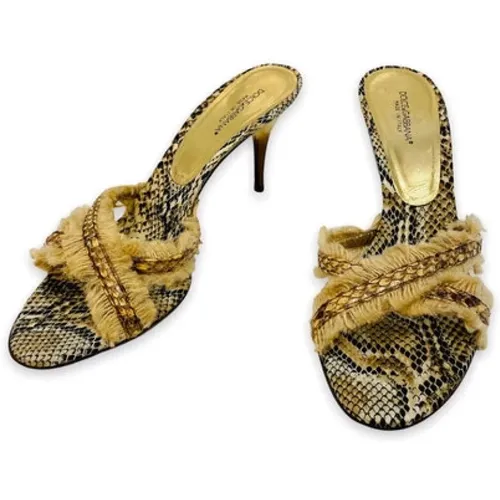 Mules , female, Sizes: 6 UK - Dolce & Gabbana Pre-owned - Modalova