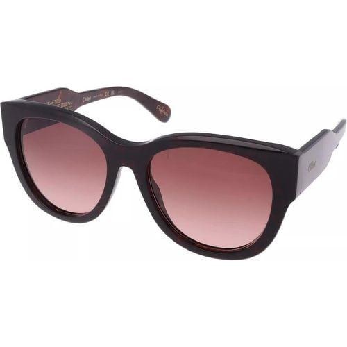 Sonnenbrille - CH0192S - Gr. unisize - in Braun - für Damen - Chloé - Modalova