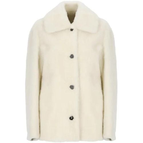 Ivory Fur Jacket - Größe 40 - Jil Sander - Modalova