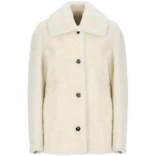 Ivory Fur Jacket - Größe 42 - Jil Sander - Modalova