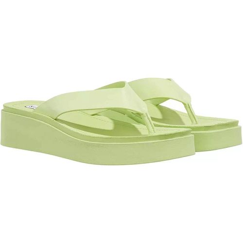 Sandalen - Carlene - Gr. 38 (EU) - in - für Damen - Steve Madden - Modalova