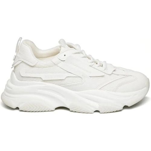 Low-Top Sneaker - Heren Sneaker - Gr. 42 (EU) - in - für Damen - Steve Madden - Modalova