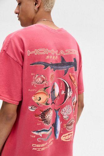 UO Fish Encyclopaedia T-Shirt - 2XS at - Urban Outfitters - Modalova