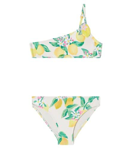 Molo Bikini Naja estampado - Molo - Modalova