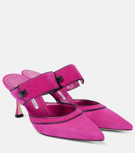 Mules Brontiamusa 70 aus Veloursleder - Manolo Blahnik - Modalova