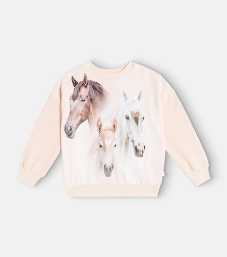 Molo Maxi printed cotton sweatshirt - Molo - Modalova