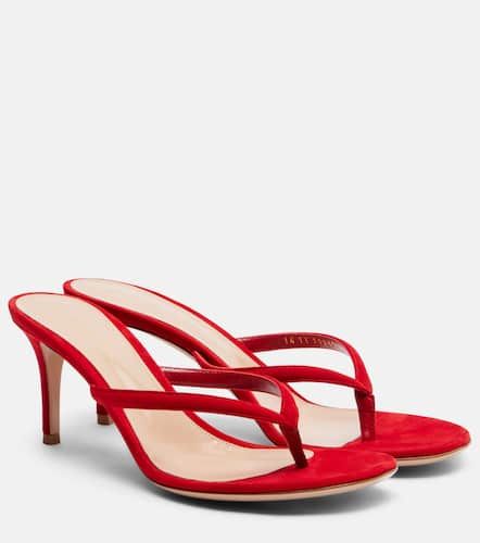 Sandalen Calypso aus Veloursleder - Gianvito Rossi - Modalova