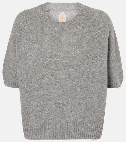 Cashmere sweater - Jardin des Orangers - Modalova