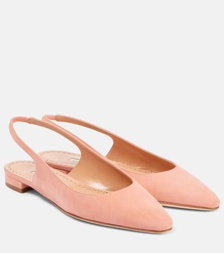 Slingback-Ballerinas Sawra 10 aus Veloursleder - Manolo Blahnik - Modalova