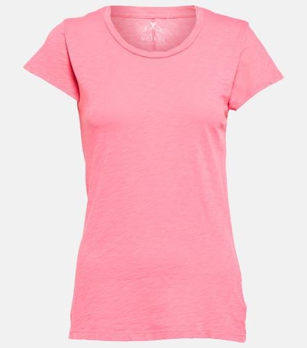 Velvet Odelia cotton jersey T-shirt - Velvet - Modalova