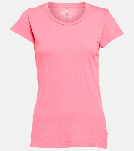 Velvet T-shirt Odelia en coton - Velvet - Modalova