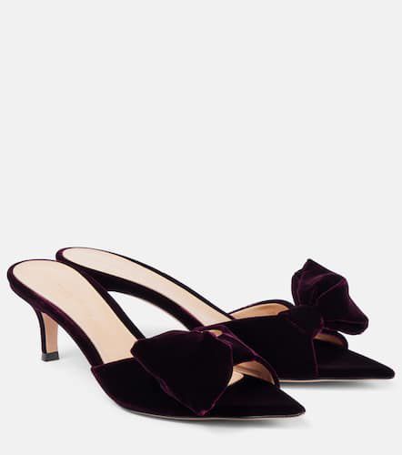 Bow-detail velvet mules - Gianvito Rossi - Modalova