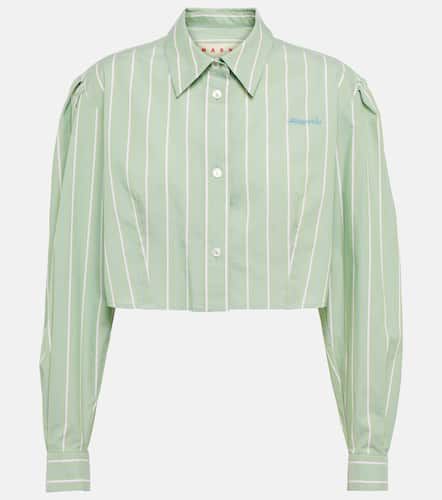 Marni Striped cropped cotton shirt - Marni - Modalova