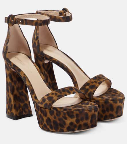 Leopard-print suede platform sandals - Gianvito Rossi - Modalova