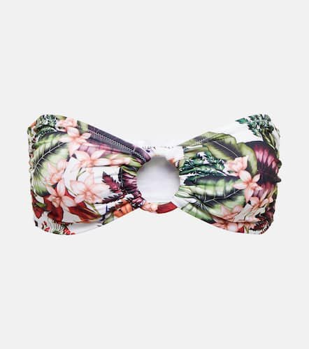 Carlotta printed bandeau bikini top - Alexandra Miro - Modalova