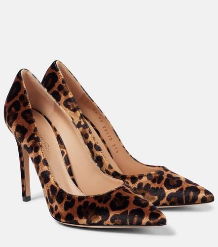 Bedruckte Pumps Gianvito 105 aus Samt - Gianvito Rossi - Modalova