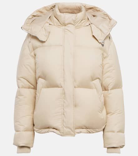 Loro Piana Daunenjacke - Loro Piana - Modalova