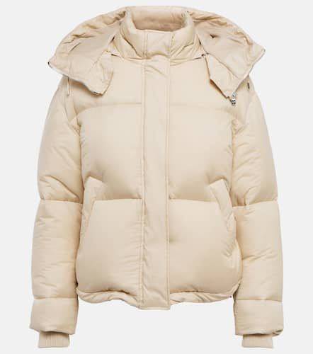 Loro Piana Gesteppte Daunenjacke - Loro Piana - Modalova