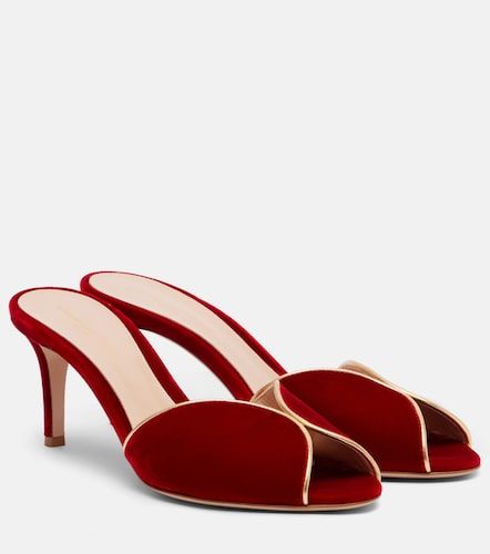 Mules 70 de terciopelo con piel - Gianvito Rossi - Modalova
