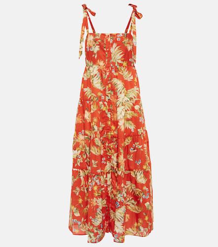 Vacation Georgia floral cotton midi dress - Erdem - Modalova