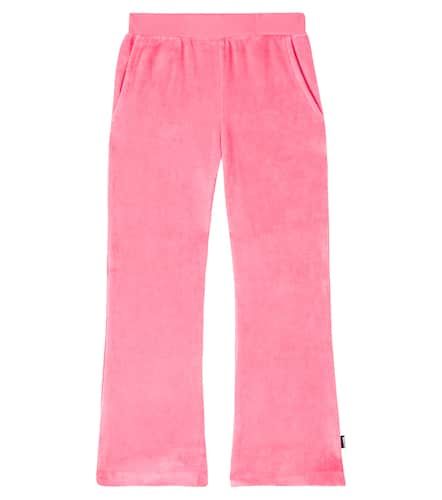 Pantalones deportivos Adoria de terciopelo - Molo - Modalova