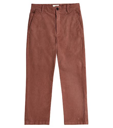 Morley Cotton pants - Morley - Modalova